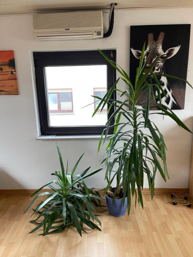Monteurwohnung - Ferienwohnung Naehe Limburg An Der Lahn Flacht Ngoại thất bức ảnh